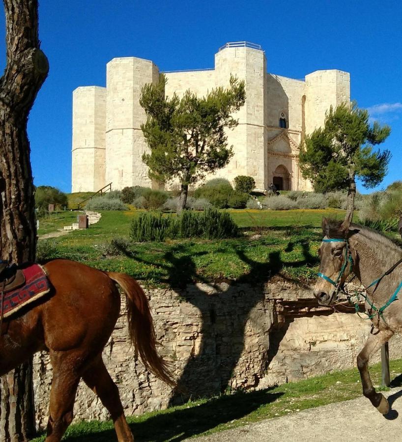 Casa Dei Greci Holiday home Barletta